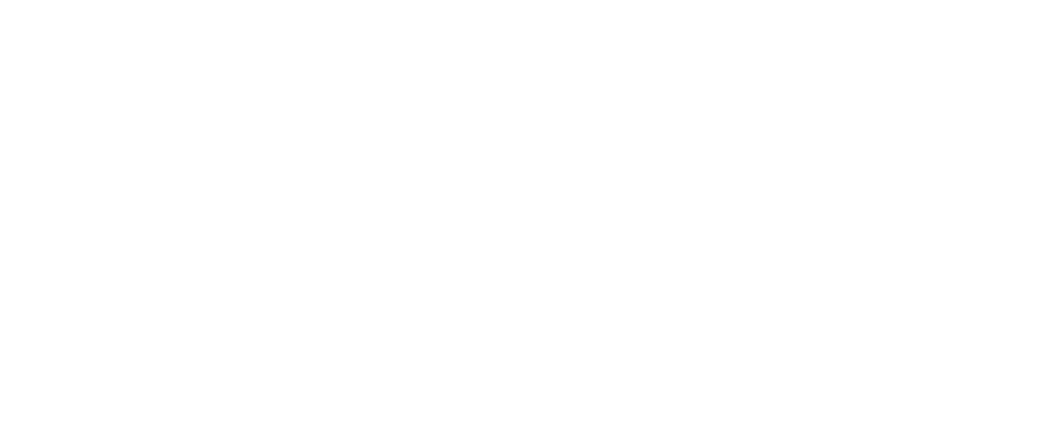 Aena Store